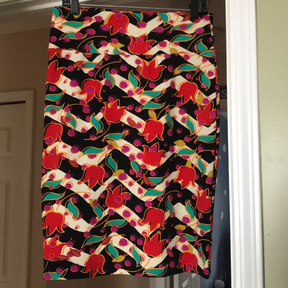 LuLaRoe Medium Cassie Skirt EUC